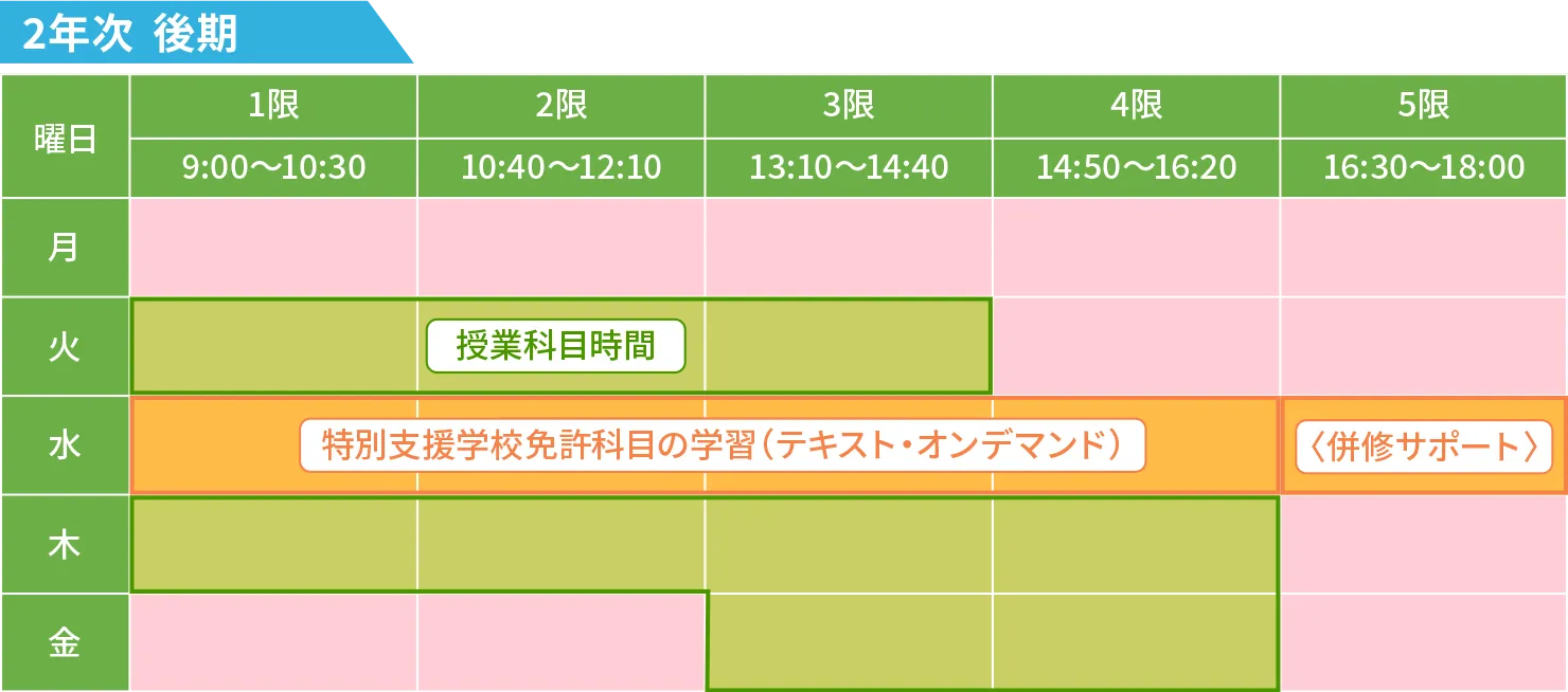 2年次後期の時間割表。通常の授業に加えて、特別支援学校教諭二種免許の取得に必要な科目の学習時間も設定されており、専門性を深めながら計画的に学べるカリキュラム構成。