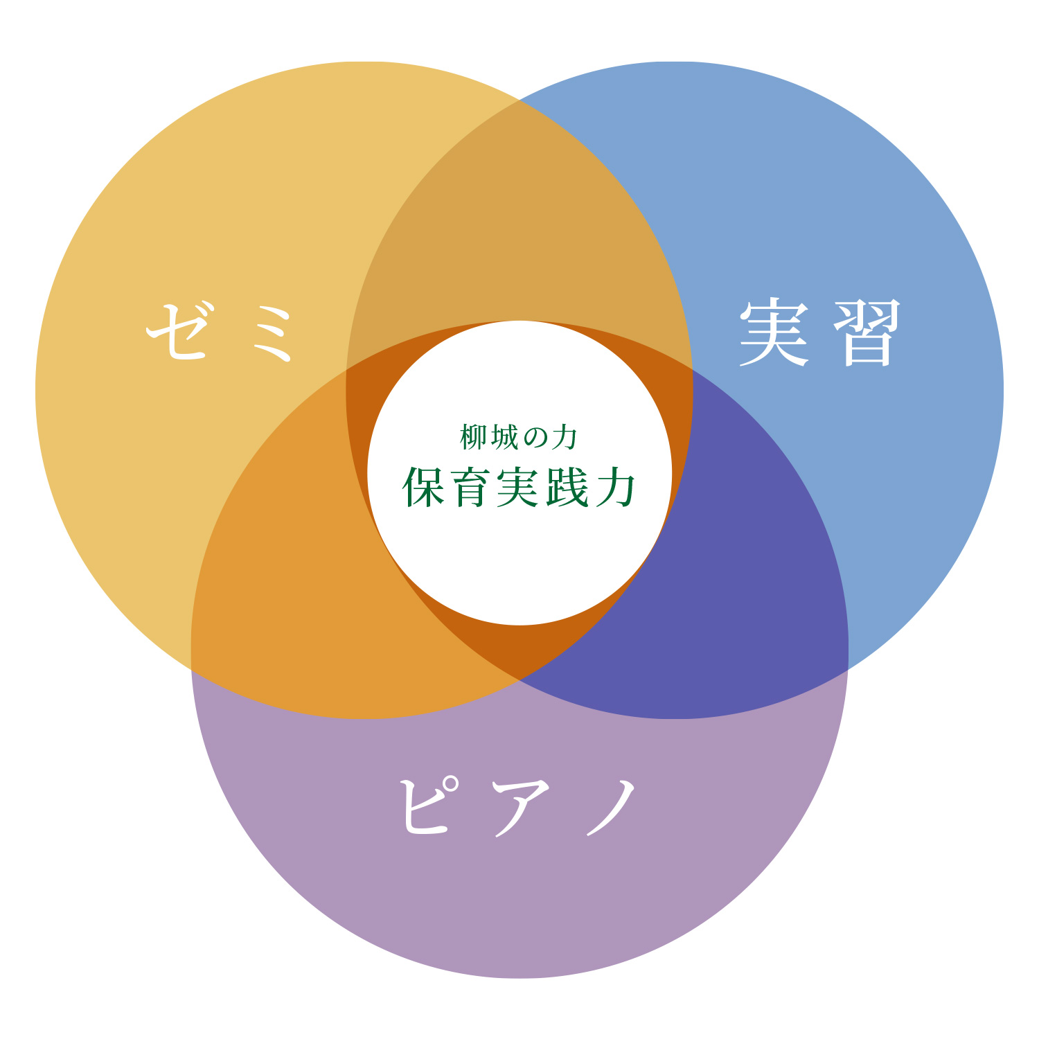 柳城の力、保育実践力。ゼミ・実習・ピアノ